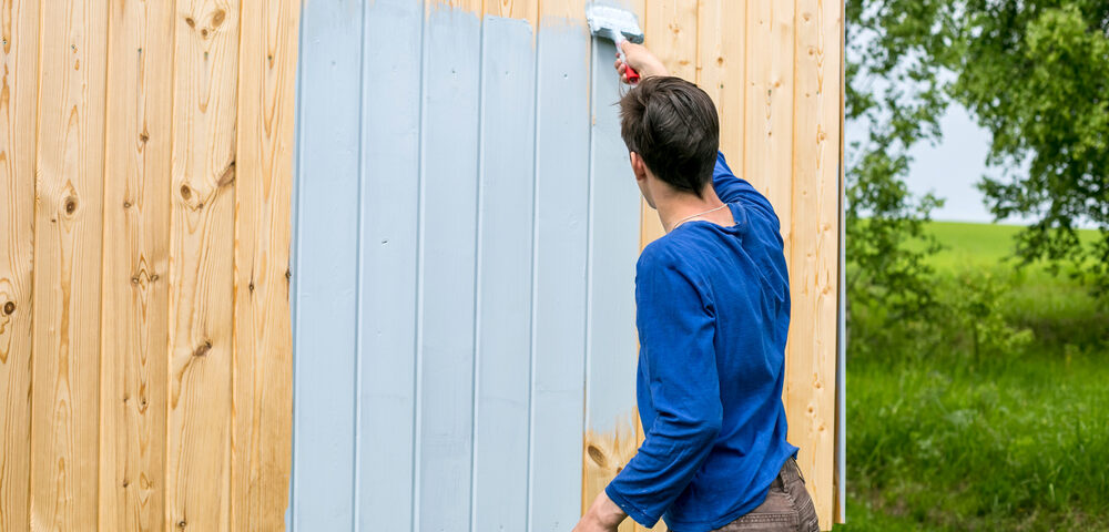 common exterior paint problems