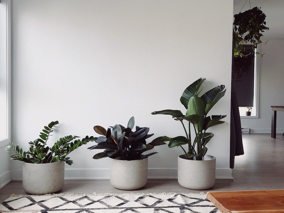 Rent.com press feature
