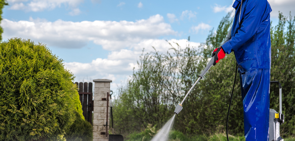 pressure washing services